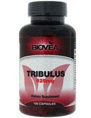 Tribulus - tabletki testosteronu